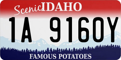ID license plate 1A9160Y