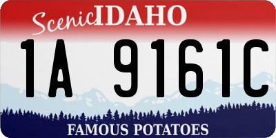 ID license plate 1A9161C