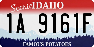 ID license plate 1A9161F