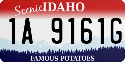 ID license plate 1A9161G