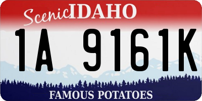 ID license plate 1A9161K