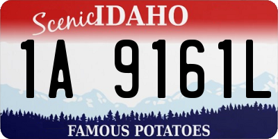 ID license plate 1A9161L