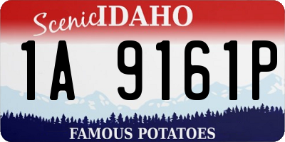 ID license plate 1A9161P