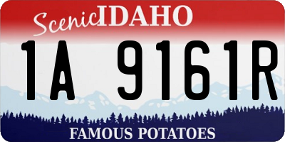 ID license plate 1A9161R