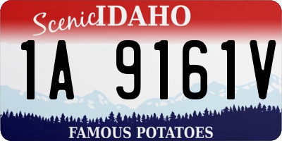 ID license plate 1A9161V