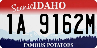 ID license plate 1A9162M