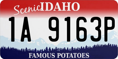 ID license plate 1A9163P