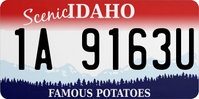 ID license plate 1A9163U