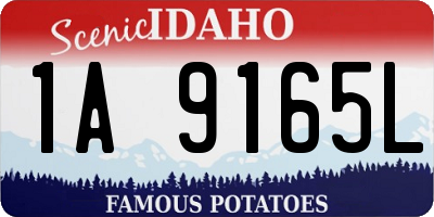 ID license plate 1A9165L