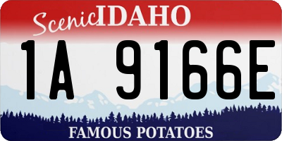 ID license plate 1A9166E