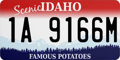 ID license plate 1A9166M