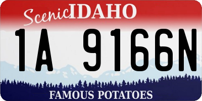 ID license plate 1A9166N