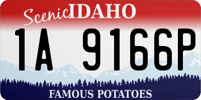 ID license plate 1A9166P