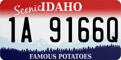 ID license plate 1A9166Q