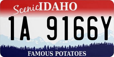 ID license plate 1A9166Y