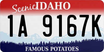 ID license plate 1A9167K