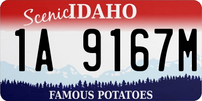 ID license plate 1A9167M