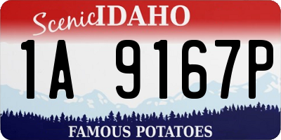 ID license plate 1A9167P