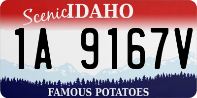 ID license plate 1A9167V