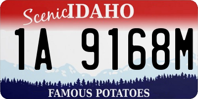 ID license plate 1A9168M