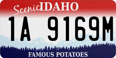 ID license plate 1A9169M