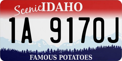 ID license plate 1A9170J