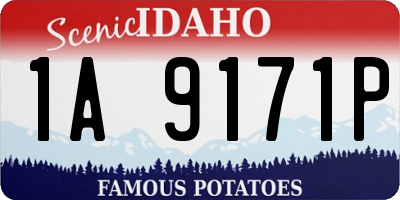 ID license plate 1A9171P