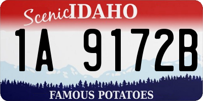 ID license plate 1A9172B