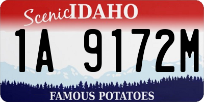 ID license plate 1A9172M