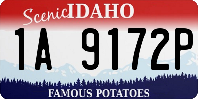 ID license plate 1A9172P