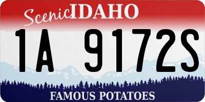 ID license plate 1A9172S