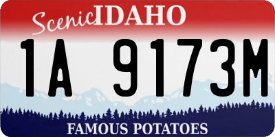 ID license plate 1A9173M