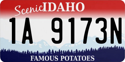 ID license plate 1A9173N
