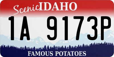 ID license plate 1A9173P