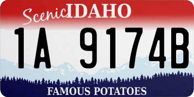 ID license plate 1A9174B