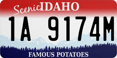 ID license plate 1A9174M