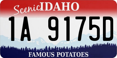 ID license plate 1A9175D