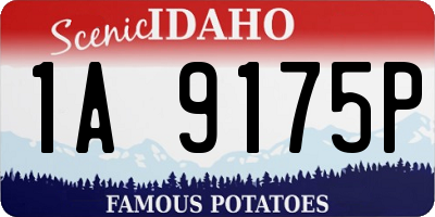 ID license plate 1A9175P