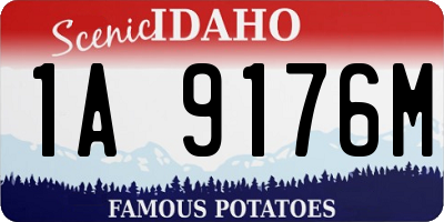ID license plate 1A9176M