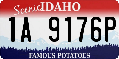 ID license plate 1A9176P
