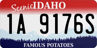 ID license plate 1A9176S