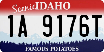 ID license plate 1A9176T