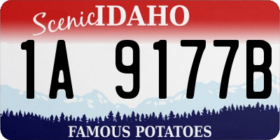 ID license plate 1A9177B