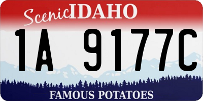 ID license plate 1A9177C