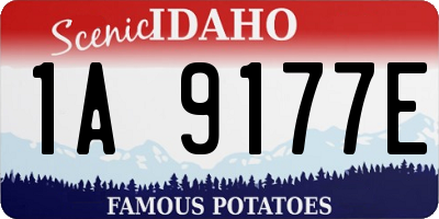 ID license plate 1A9177E
