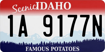 ID license plate 1A9177N