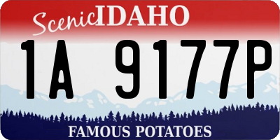 ID license plate 1A9177P