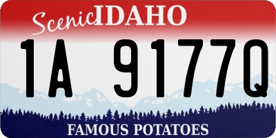 ID license plate 1A9177Q