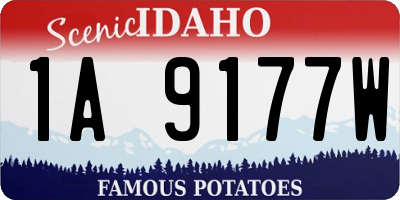 ID license plate 1A9177W