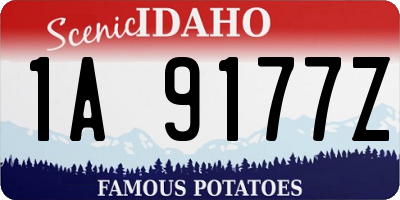 ID license plate 1A9177Z